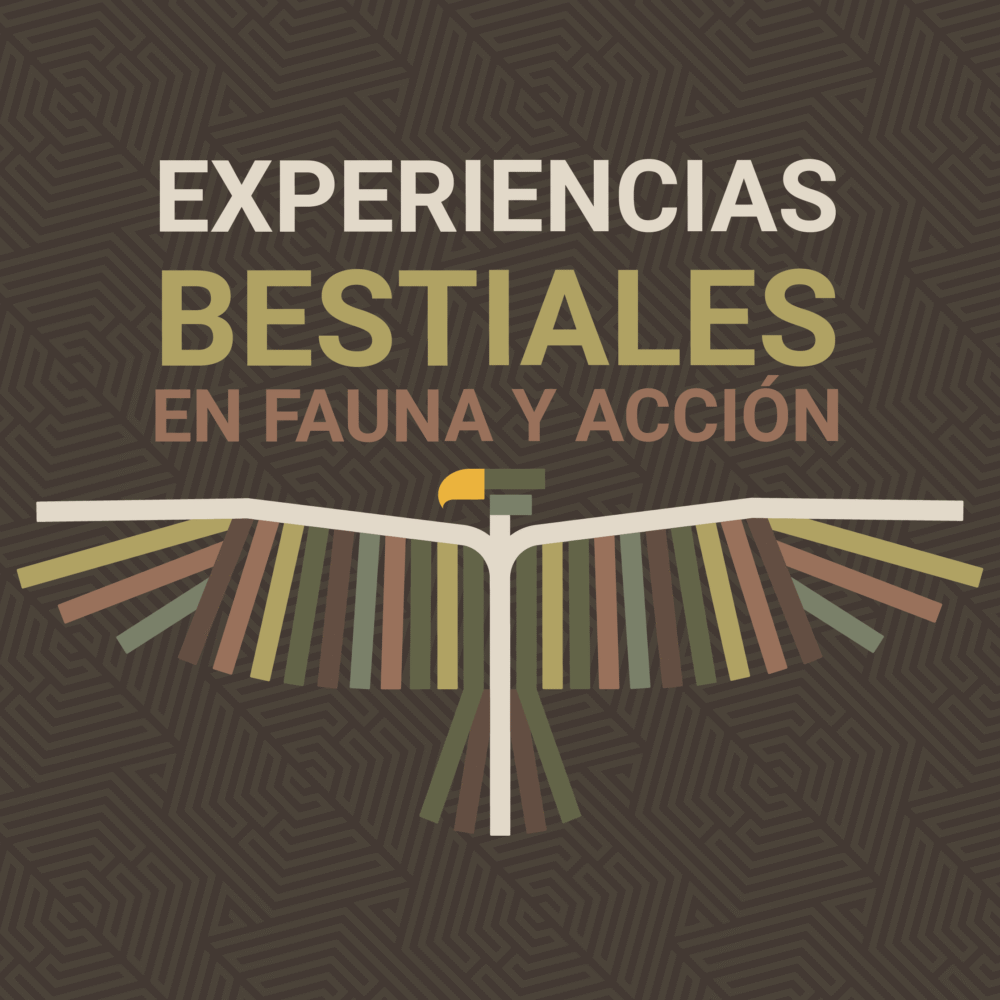 EXPERIENCIAS BESTIALES GRUPO