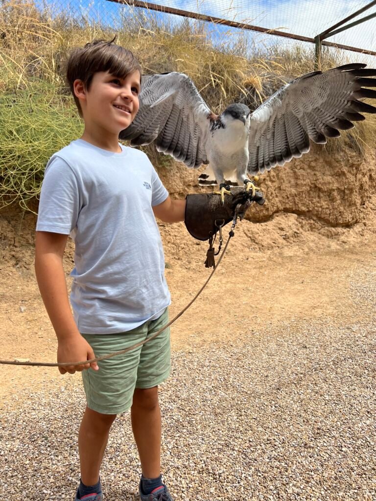 DÍA SIN COLE FAUKANA