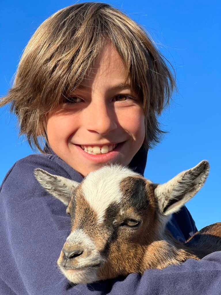 DÍA SIN COLE FAUKANA