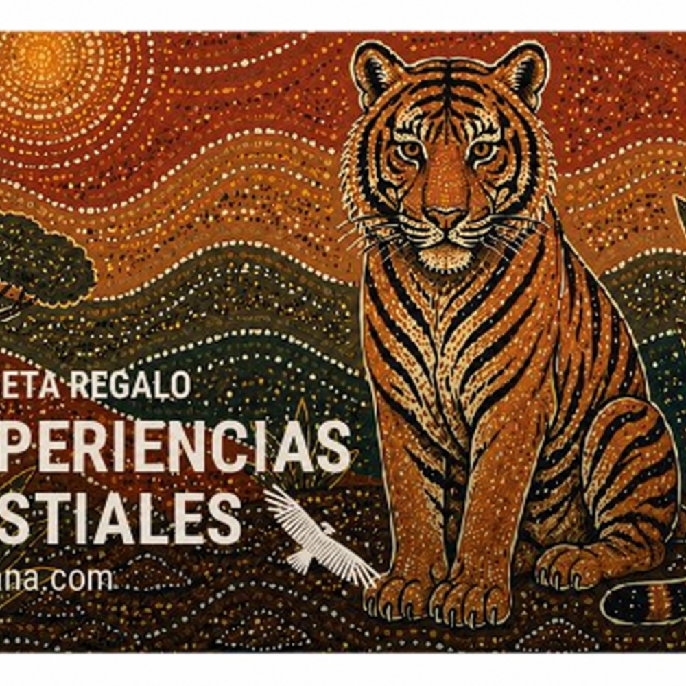 Tarjeta regalo · Experiencias FAUKANA